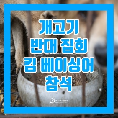  [자투리 뉴스] 개고기 반대 집회 킴 베이싱어 참석