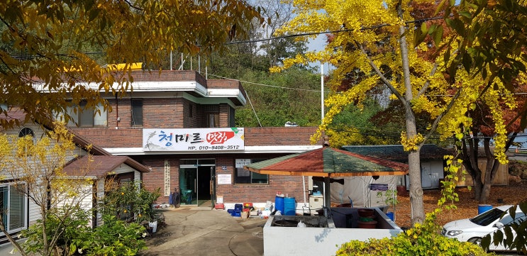  초평붕어찜/ 청미르맛집