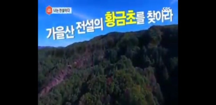  나는전설이다 촬영전 염탐하기..