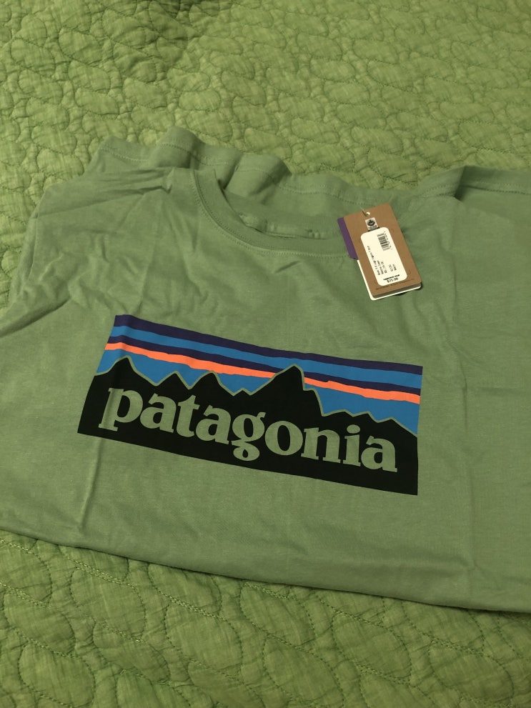  Patagonia p-6 logo t-shirt boys [성인여성착용가능]