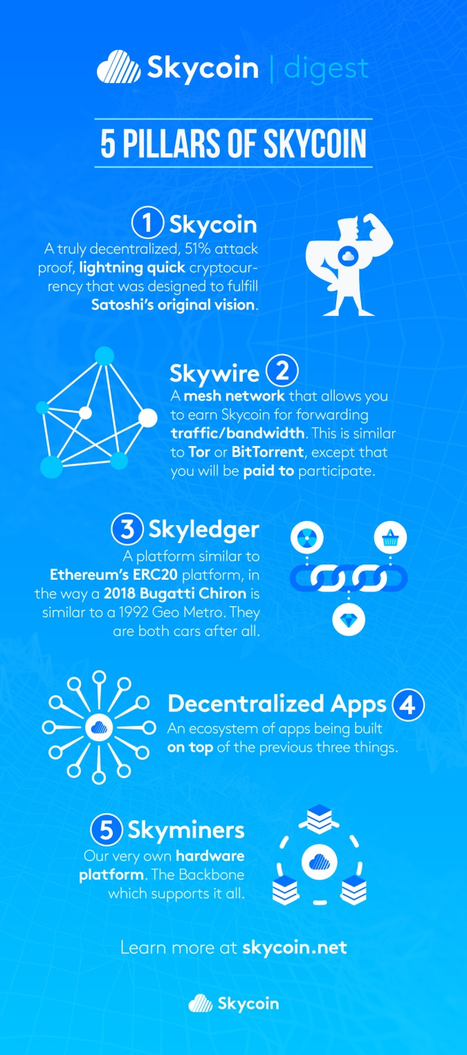 스카이코인(SKYCOIN) 블록체인 오픈소스 프로젝트, 어플리케이션 플랫폼 : 네이버 블로그