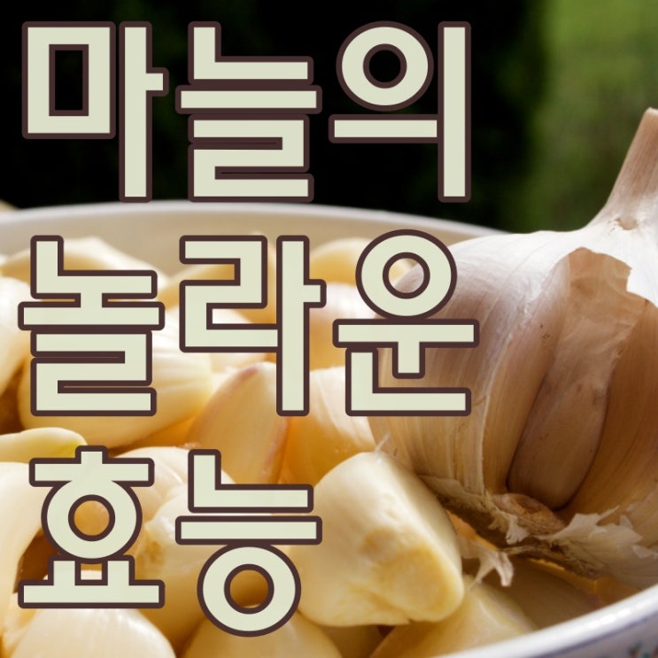  마늘 효능 그 놀라운 매력속으로