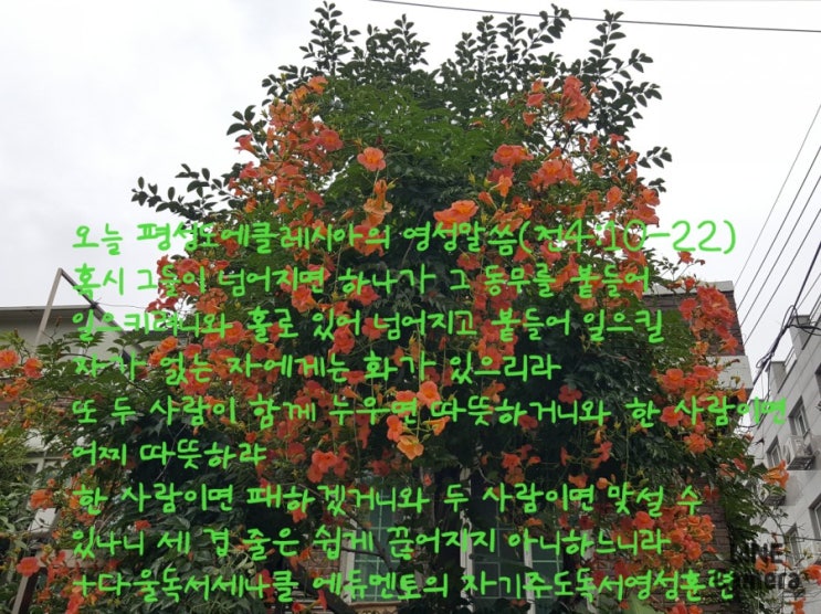  명성교회 창립39년기념음악회를 보면서 떠오르는 것들은?