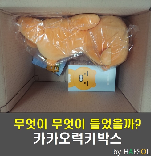 카카오 럭키박스 개봉기_ 라이언 무엇이 있을지 두근두근
