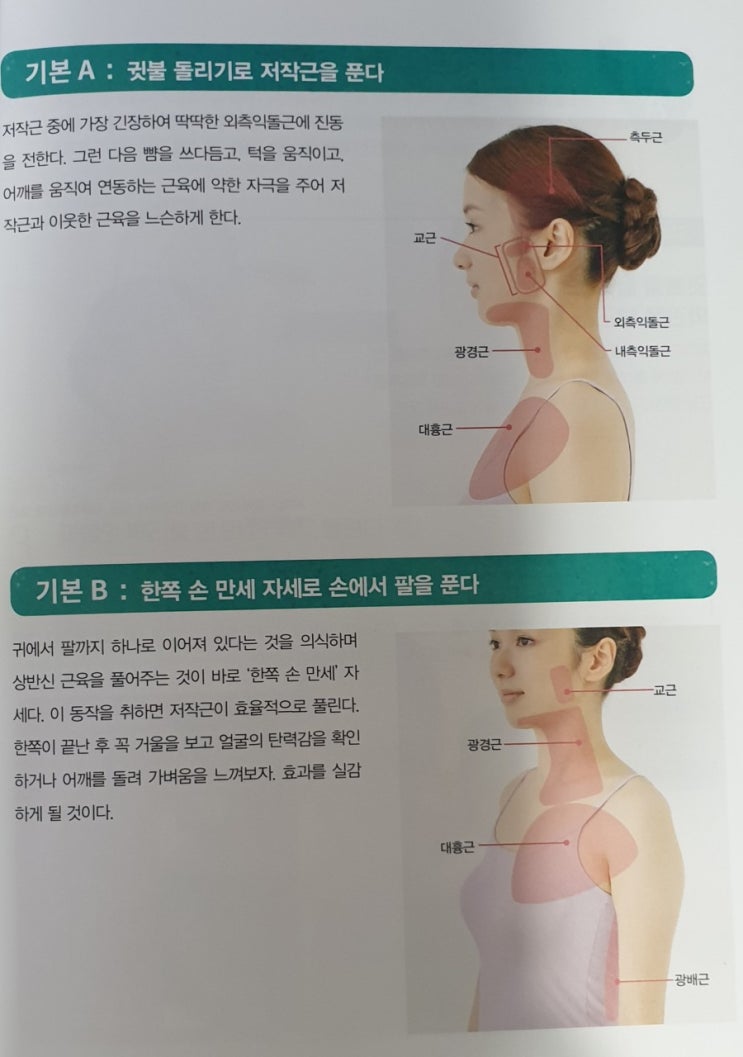  몸을 디자인하다!!