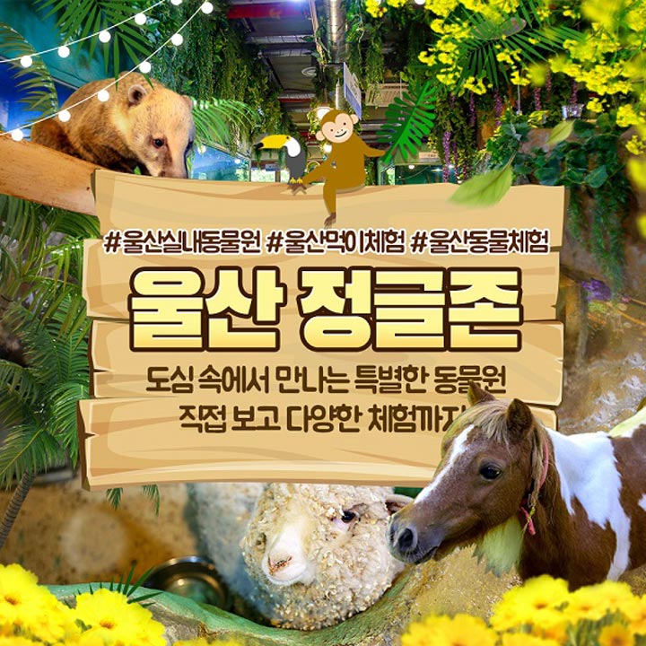  [깜짝특가] 단 4일 특가날씨 상관 없는 실내동물원[울산] 정글존