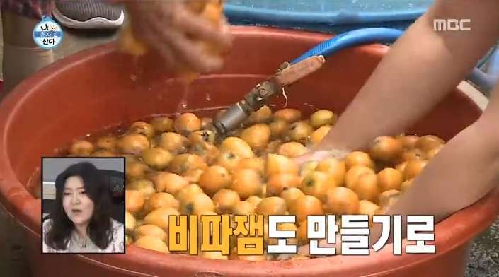  나혼자산다 박나래의 비파나무 열매 비파술과 비파잼 레시피!