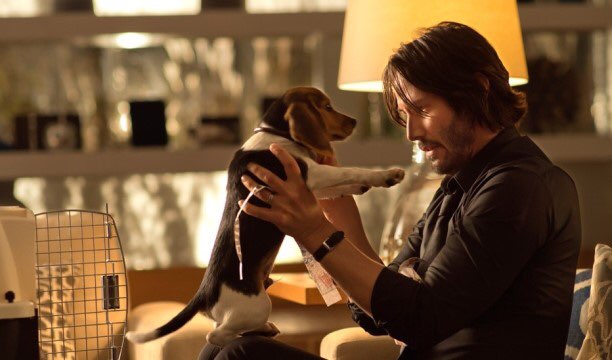  [V리뷰] 강아지를 학대하면 벌 받아요 - 존 윅(John Wick)