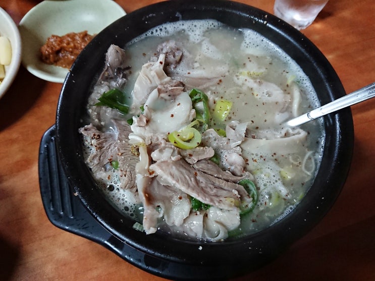  서울 신월동 '백암순대국' 순대국, 토종순대