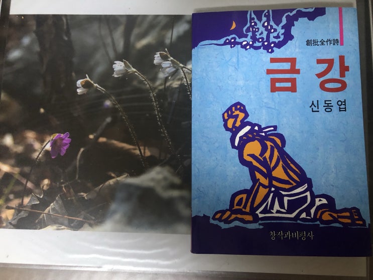  금강 - 신동엽