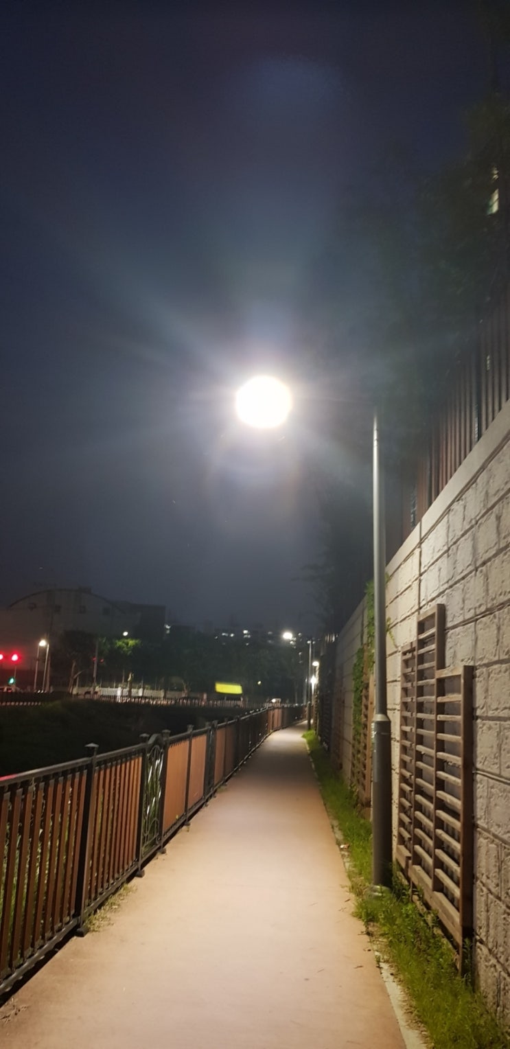  저녁 운동은 좋다