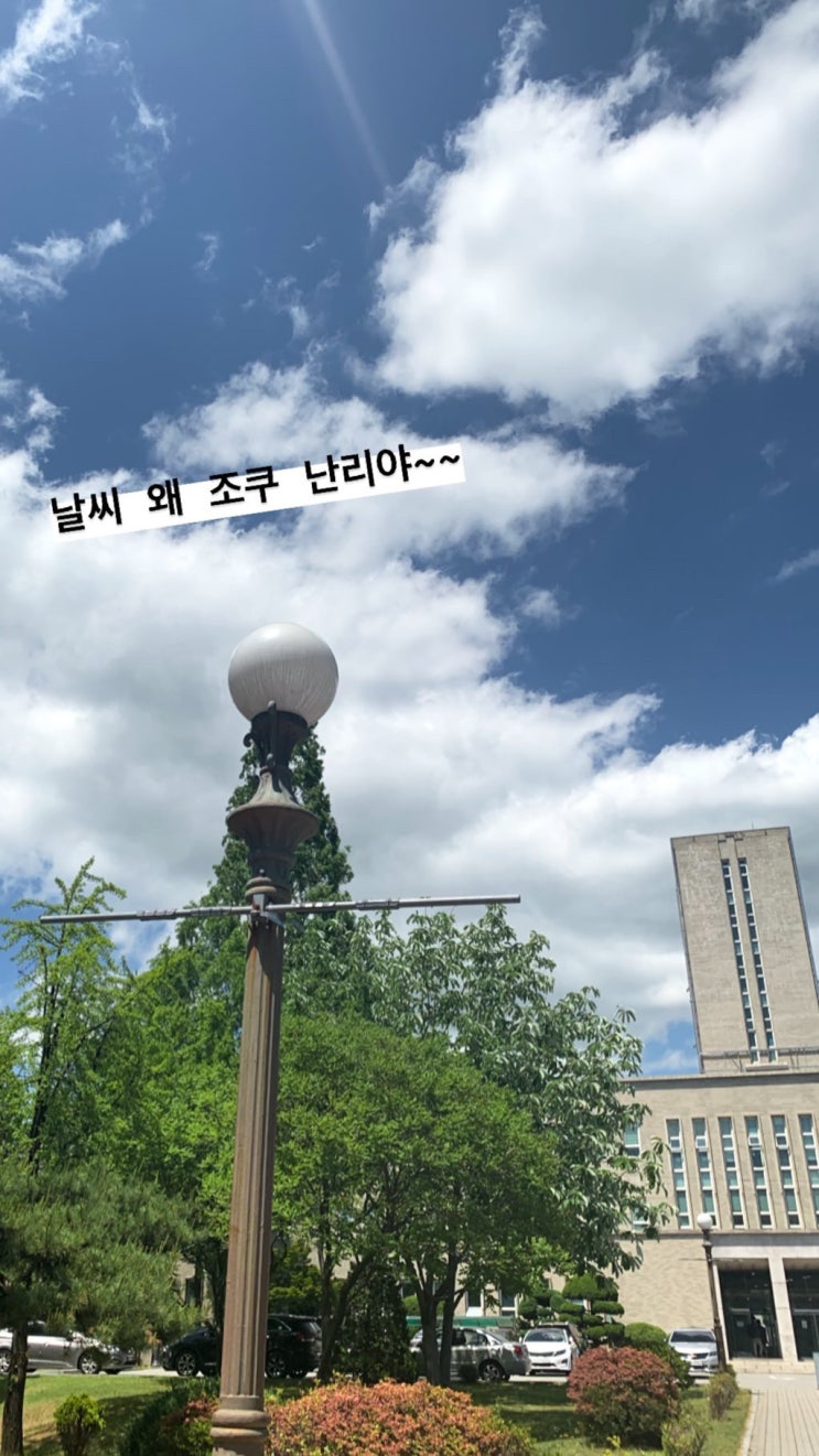  튼튼한 환자