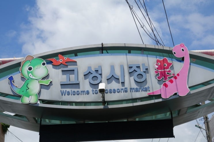  고성시장 없는게 없어요:노니와 히비스커스 샀어요~