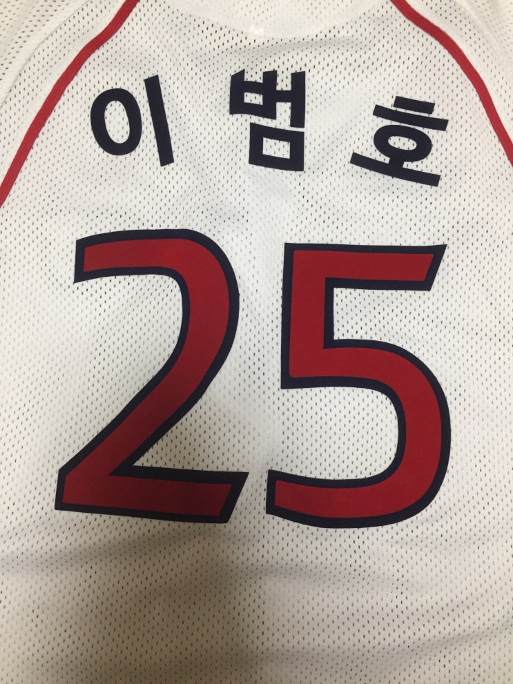  이범호 선수 은퇴식..
