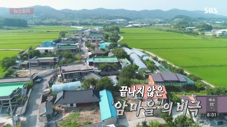  SBS 뉴스토리 190713 암마을의 비극 , 전북 익산시 장점마을, 인천 서구 사월마을