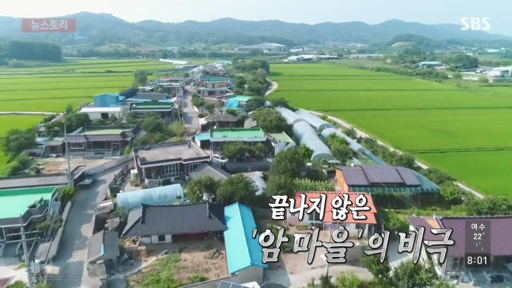 SBS 뉴스토리 190713 암마을의 비극 , 전북 익산시 장점마을, 인천 서구 사월마을