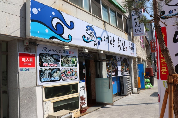  여수 갯장어 맛집 어랑횟집 소개해요