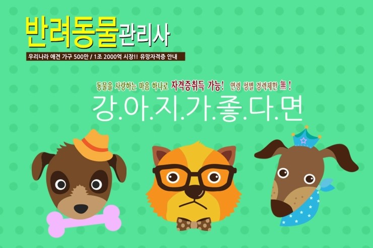  반려동물 좋아하면 완전 1석2조네요!>_< 