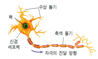 Logistic Regression으로 설명하는 Neuron Network 구조