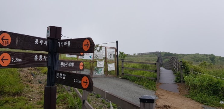  집나기전에 곰탕끼리는 뇨자가 나올시다:D