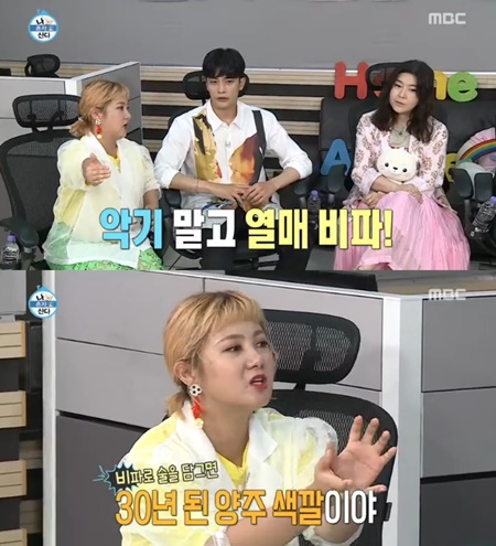  비파 나무 열매 어디까지 알고 있니?