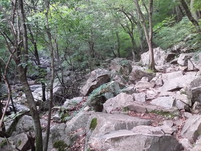  [양평]여솔캠 유명산 자연휴양림에서 등산후 캠핑마무리
