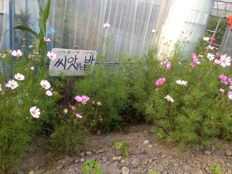  [마녀의계절] 여름 꾸러미 시작합니다