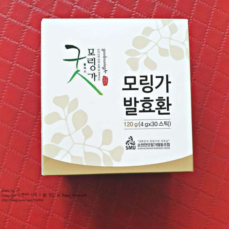  불로장생의 나무 웰니스나라 순천만모링가 발효환 부모님생신선물 추천