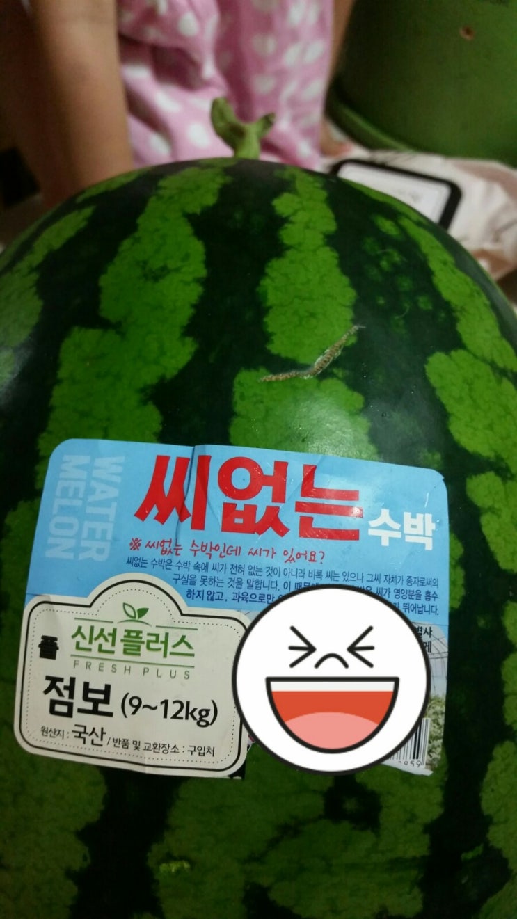  씨없는 수박~^^