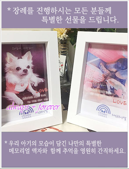 * pet memorial frame 선물증정 가이드-장례를 치르는 모든 고객분께 아기와의 추억을 담은 메모리얼액자를 드려요~