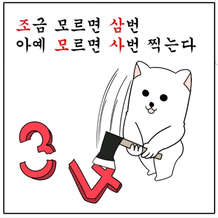  시험기간