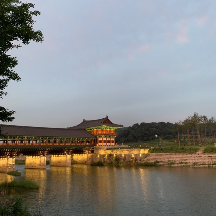  경주 당일치기 여행 : 황홀한 월정교 야경 추천️