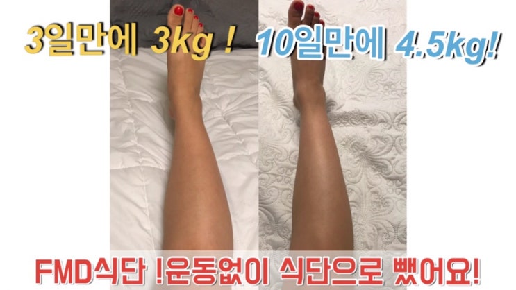  다즐링 3일만에 3kg !10일만에 4.5kg 뺀 식단!!!!