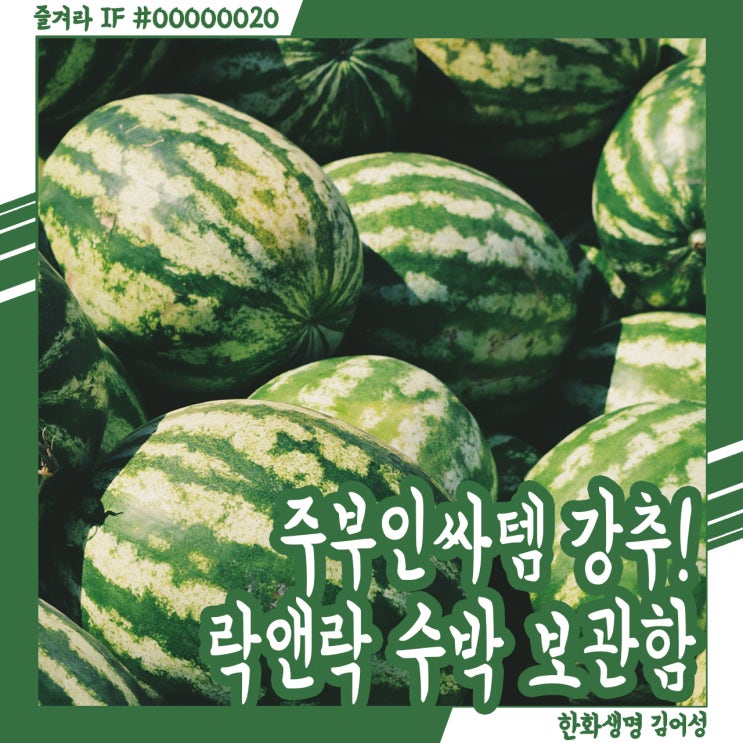  주부인싸템 락앤락 수박 보관함, 수박통 케이스 리뷰!