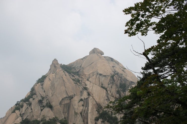 북한산 등산코스 [진관사~비봉~사모바위~문수봉~대남문~대동문~백운대~북한산성입구]