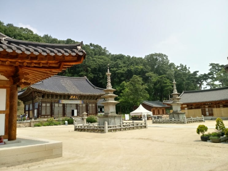  제74회 대집회