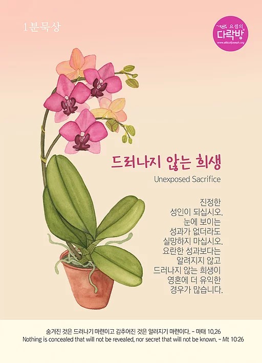  어머니 교회