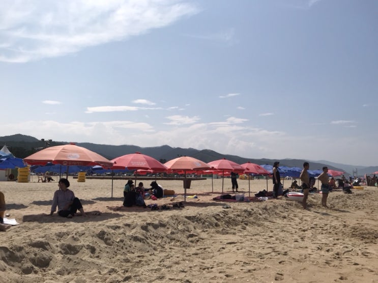  망상해수욕장 앞 망상제2오토캠핑장 동해바다캠핑장