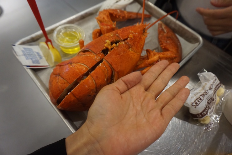 [미국뉴욕여행] 그냥 저냥, 뉴욕필수여행코스 "첼시마켓"