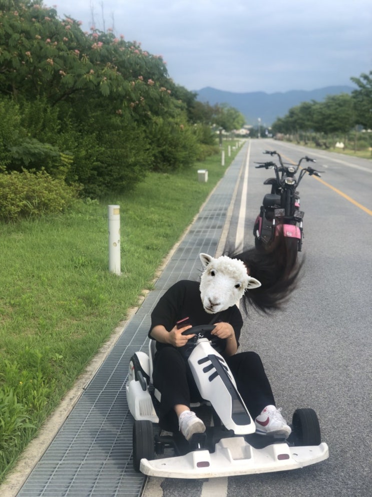  고삼이들 강정보-대실역