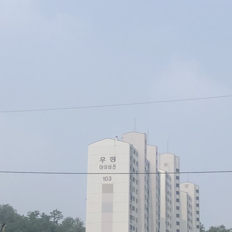  한가한 일요일
