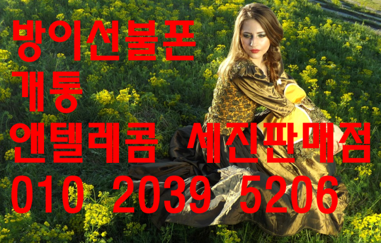  방이선불폰/양재선불폰/가락시장선불폰 출장으로 즉시 개통 가능