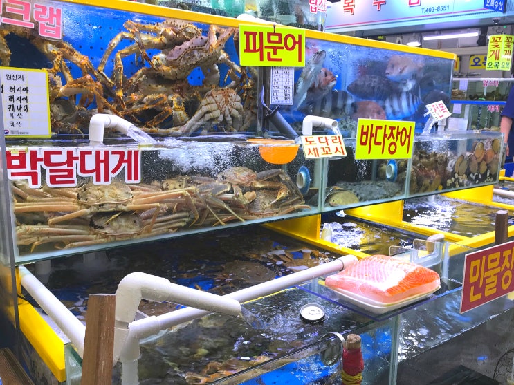  [가락농수산물종합도매시장/가락몰] 친구랑 가락시장 가락몰 회센터에 다녀왔습니다. (2019.07.13.)