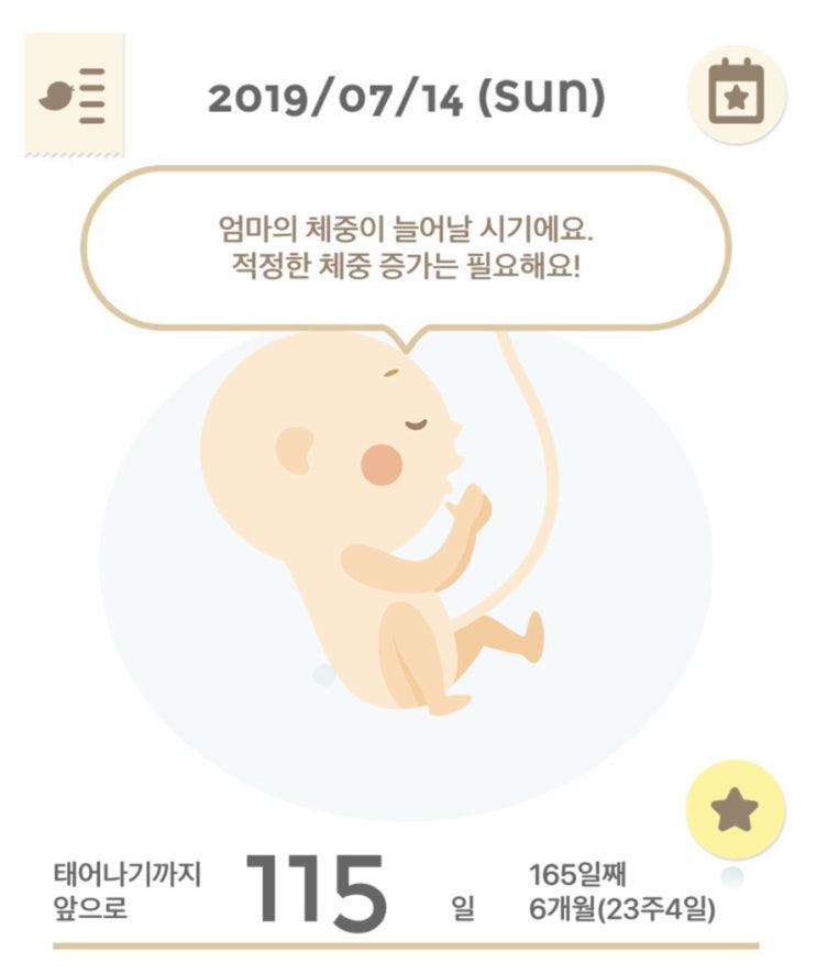  23주 4일 +6kg :: 증상