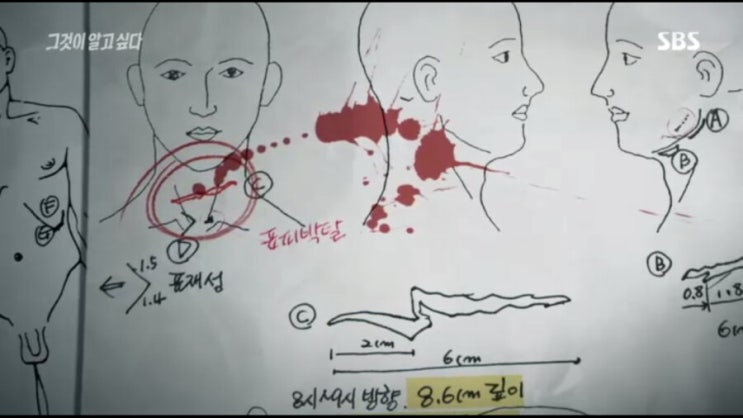  그것이알고싶다 대구총포사살해사건