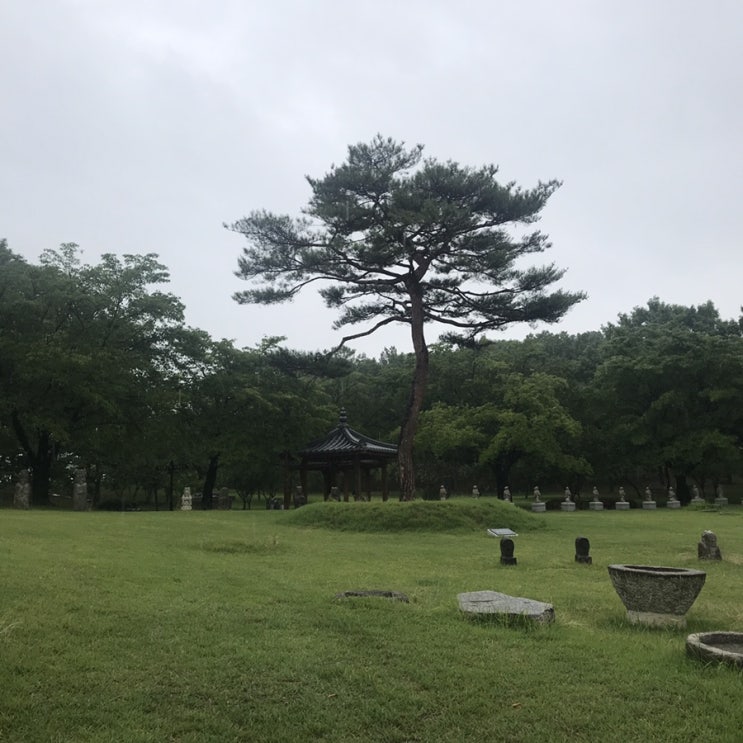  민주옹의 힉힉호무리 일상 [7/6-7/14]