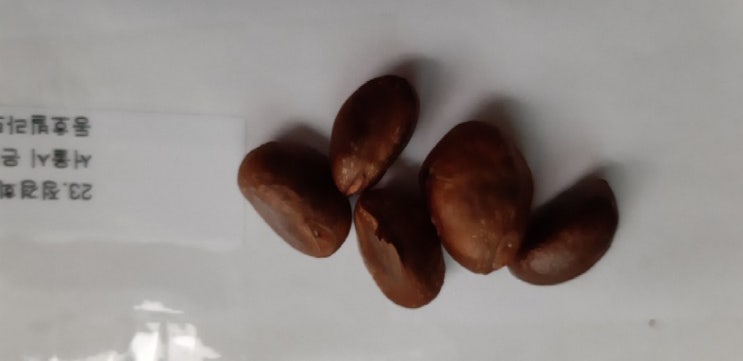  야옹이님, 잘 도착했어요
