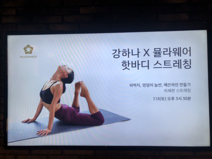  뮬라웨어 강하나 스트레칭