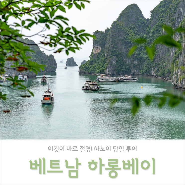 대박 하노이 하롱베이 당일투어 후기 + 가격 30달러 할인 소식 대박 하노이 하롱베이 당일투어 후기 + 가격 30달러 할인 소식