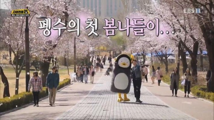  머리에 꽃단 펭수 인생샷 도전기